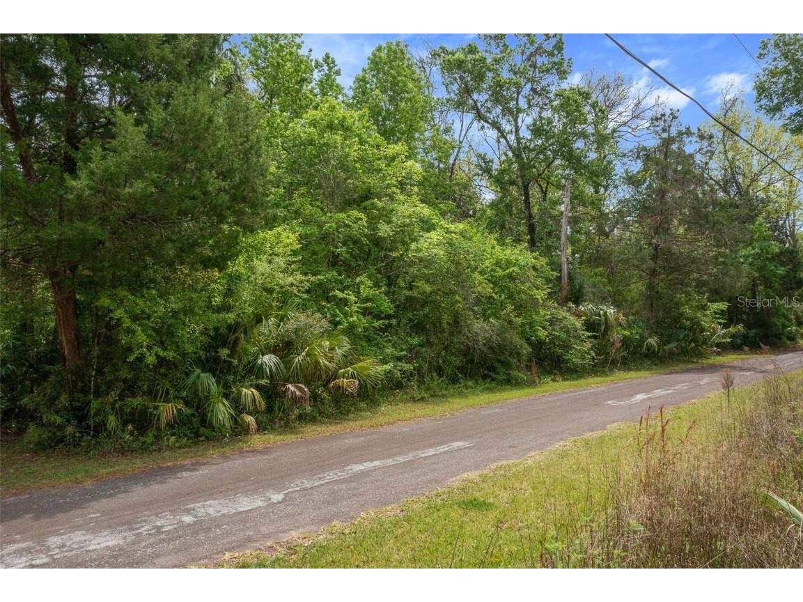 5043 S Palo Verde Point Homosassa FL 34448 OM699088 image28