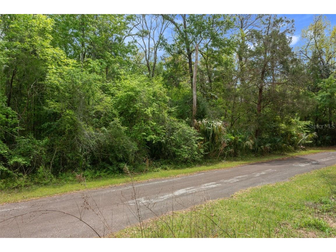 5043 S Palo Verde Point Homosassa FL 34448 OM699088 image29