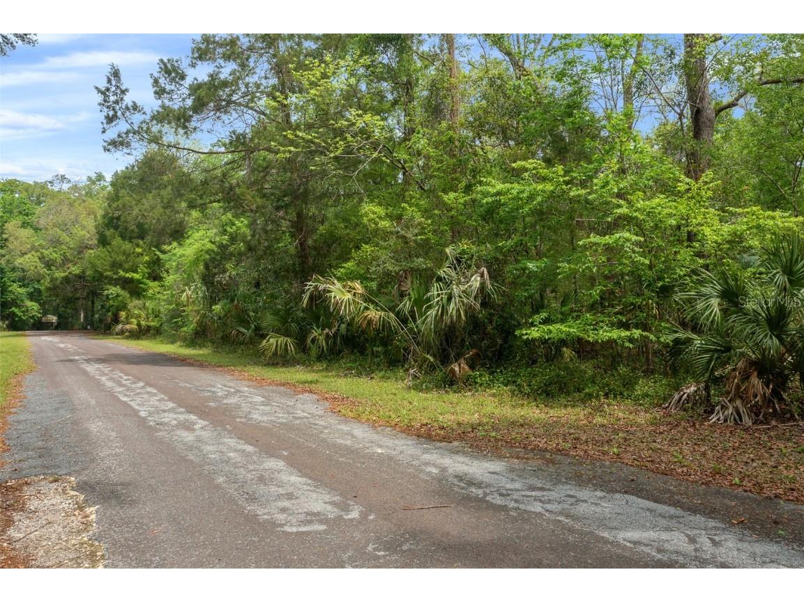 5043 S Palo Verde Point Homosassa FL 34448 OM699088 image33