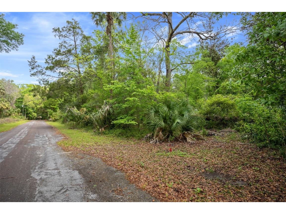 5043 S Palo Verde Point Homosassa FL 34448 OM699088 image4