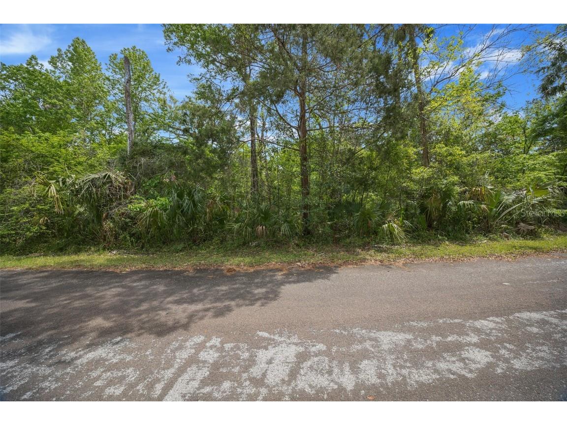 5043 S Palo Verde Point Homosassa FL 34448 OM699088 image6