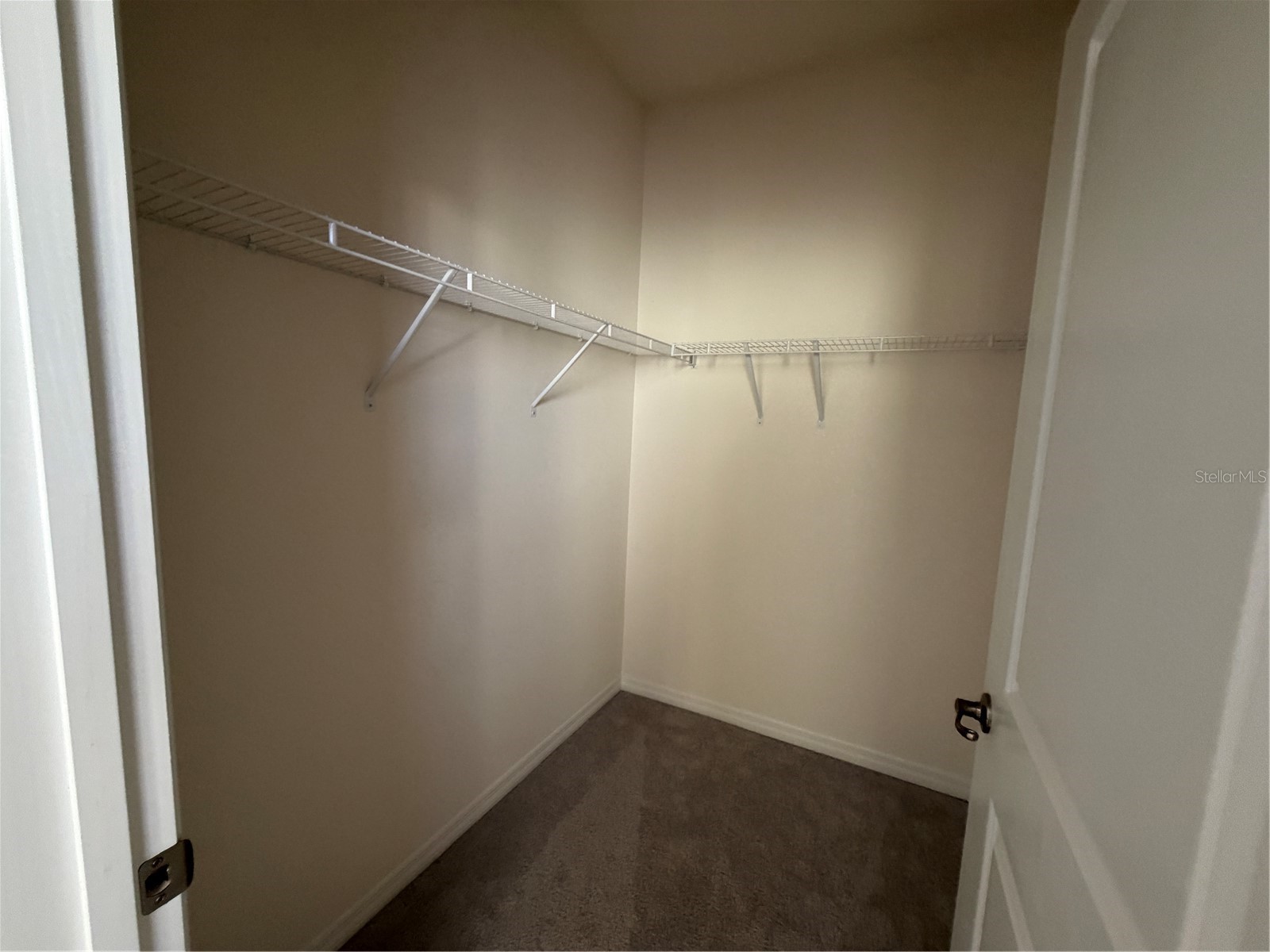 5043 Stokes Way Wildwood FL 34785 O6396514 image50