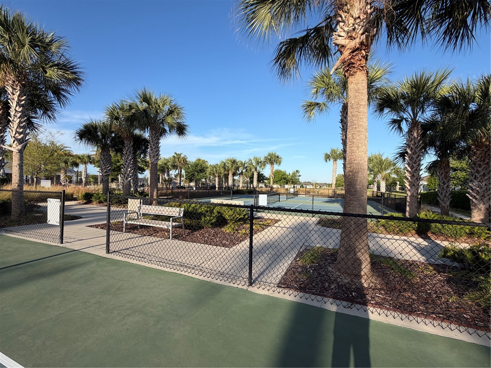 5043 Stokes Way Wildwood FL 34785 O6396514 image54