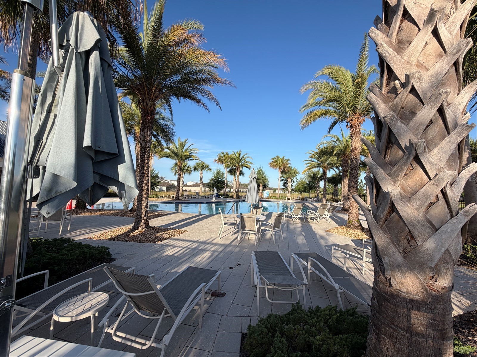 5043 Stokes Way Wildwood FL 34785 O6396514 image57