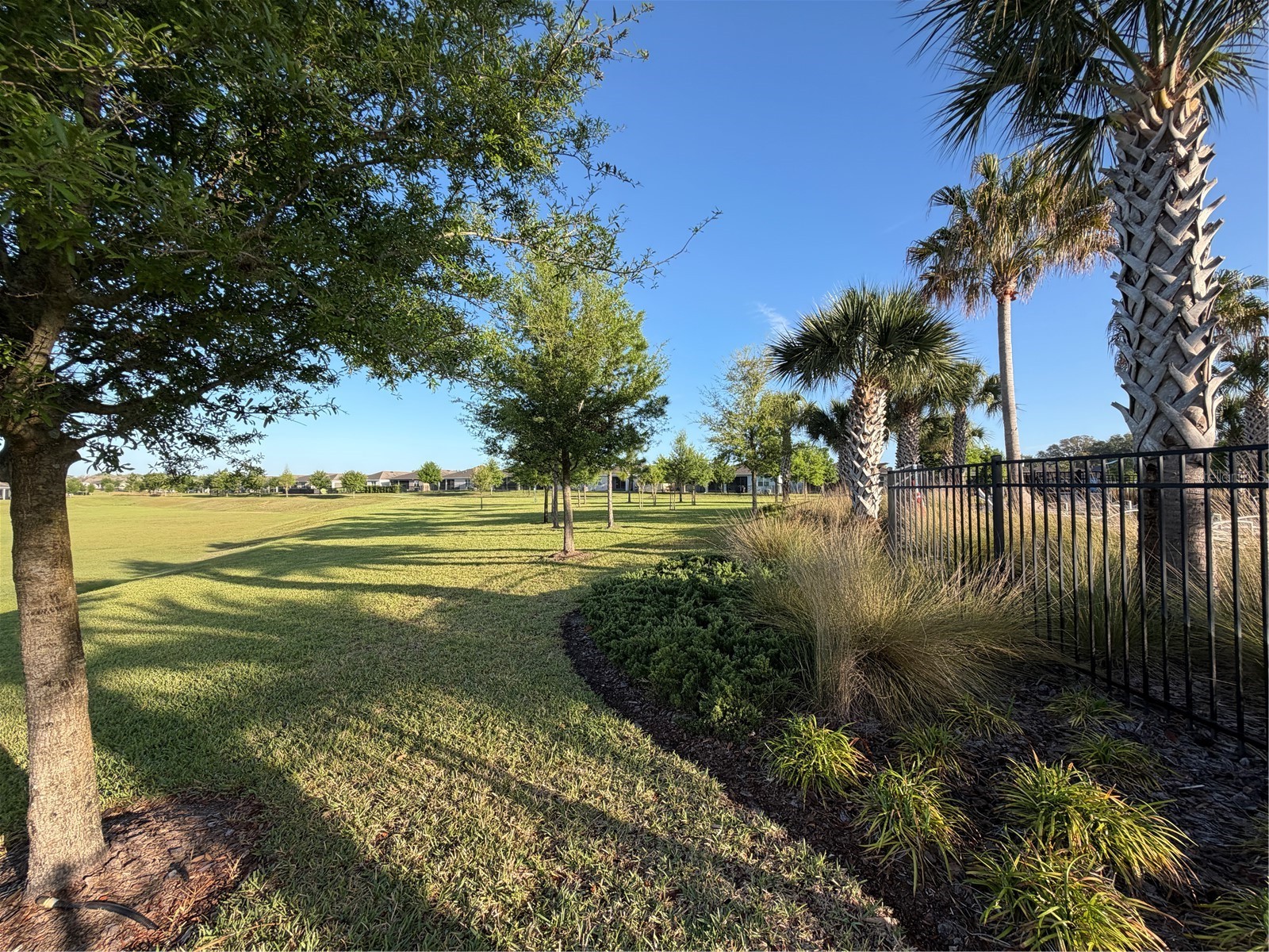 5043 Stokes Way Wildwood FL 34785 O6396514 image59