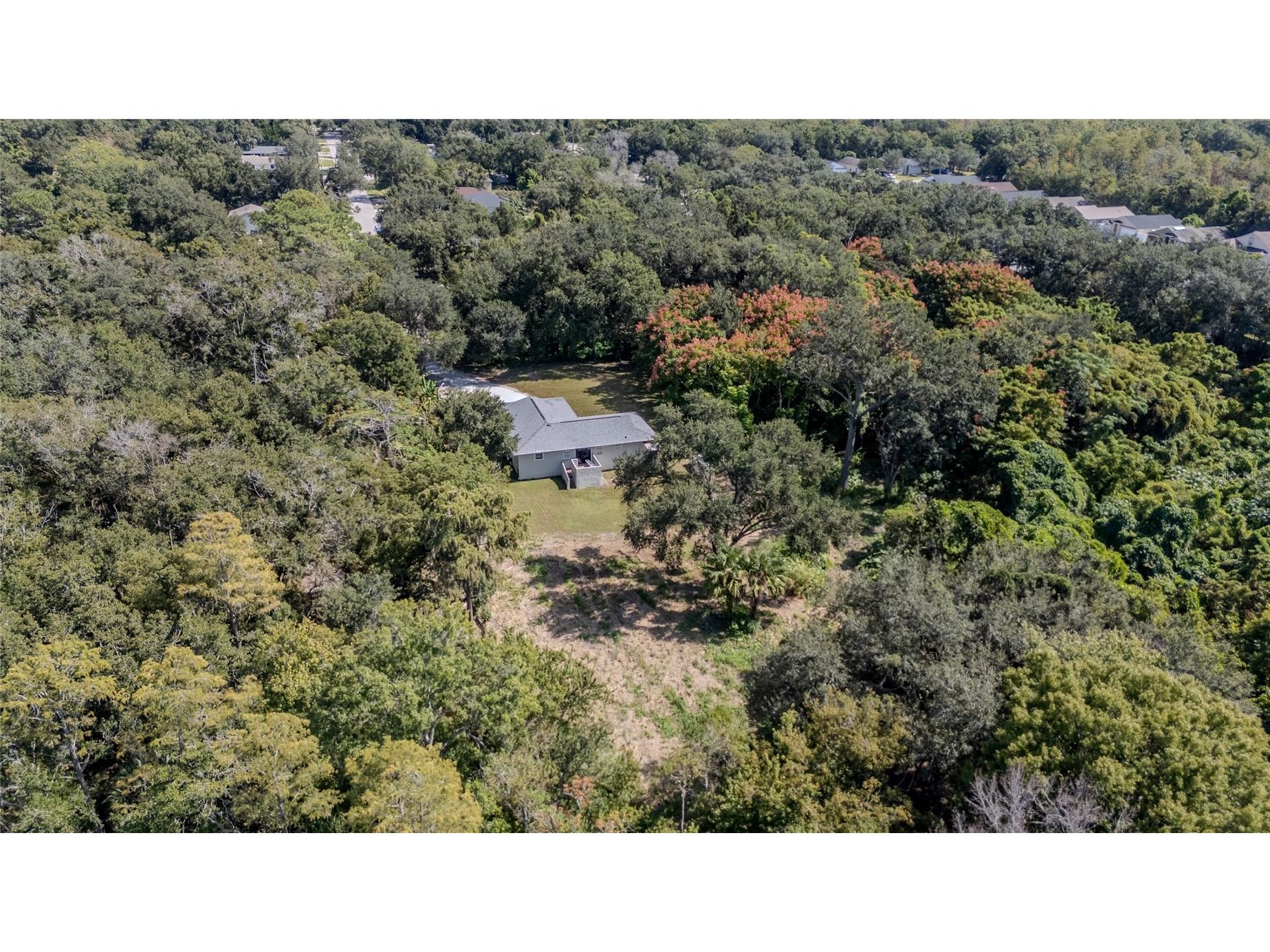 5044 College Drive Orlando FL 32811 O6355437 image15