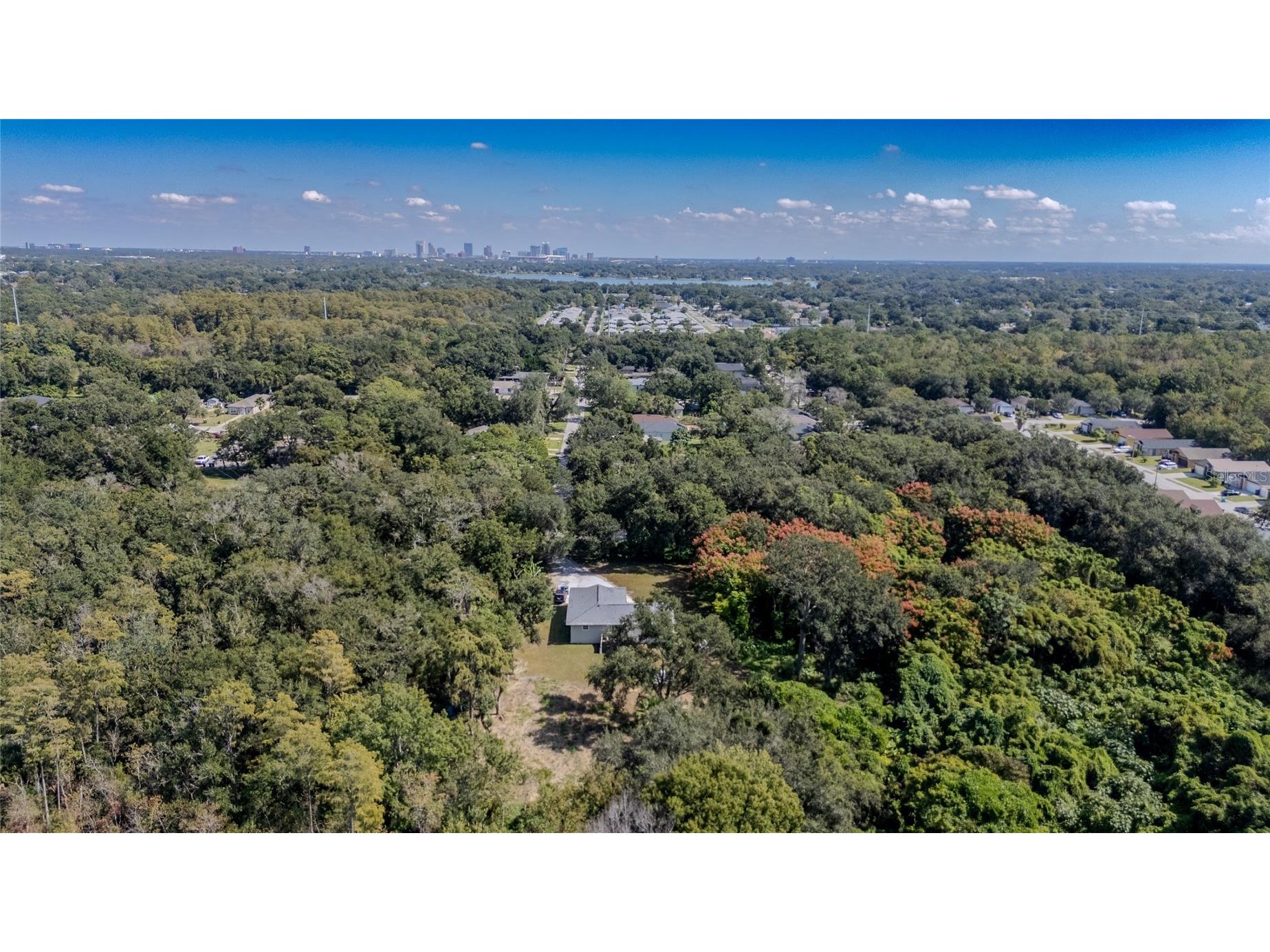 5044 College Drive Orlando FL 32811 O6355437 image16