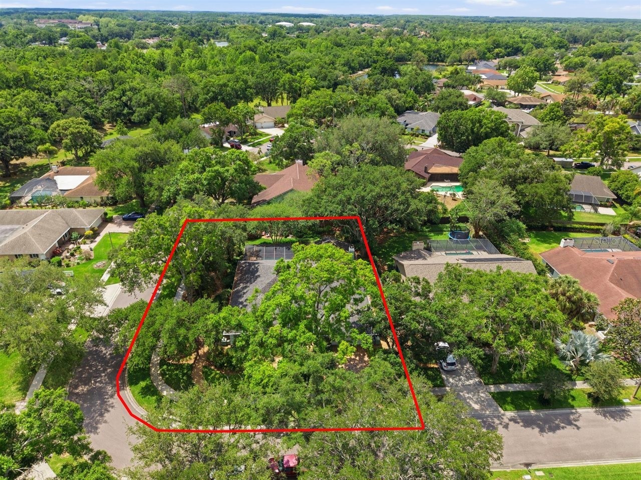 5046 Barrowe Drive Tampa FL 33624 TB8502389 image31