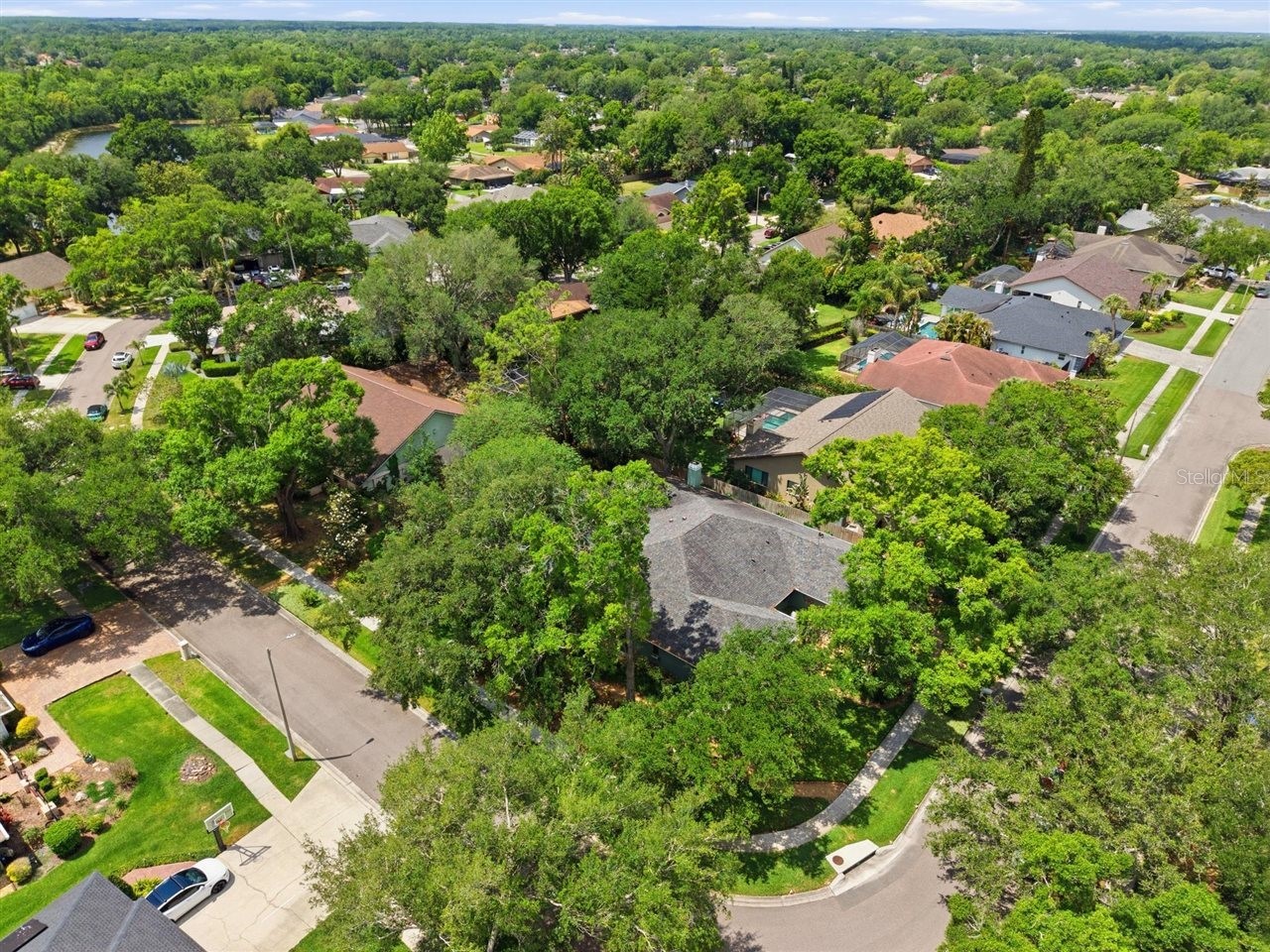 5046 Barrowe Drive Tampa FL 33624 TB8502389 image75
