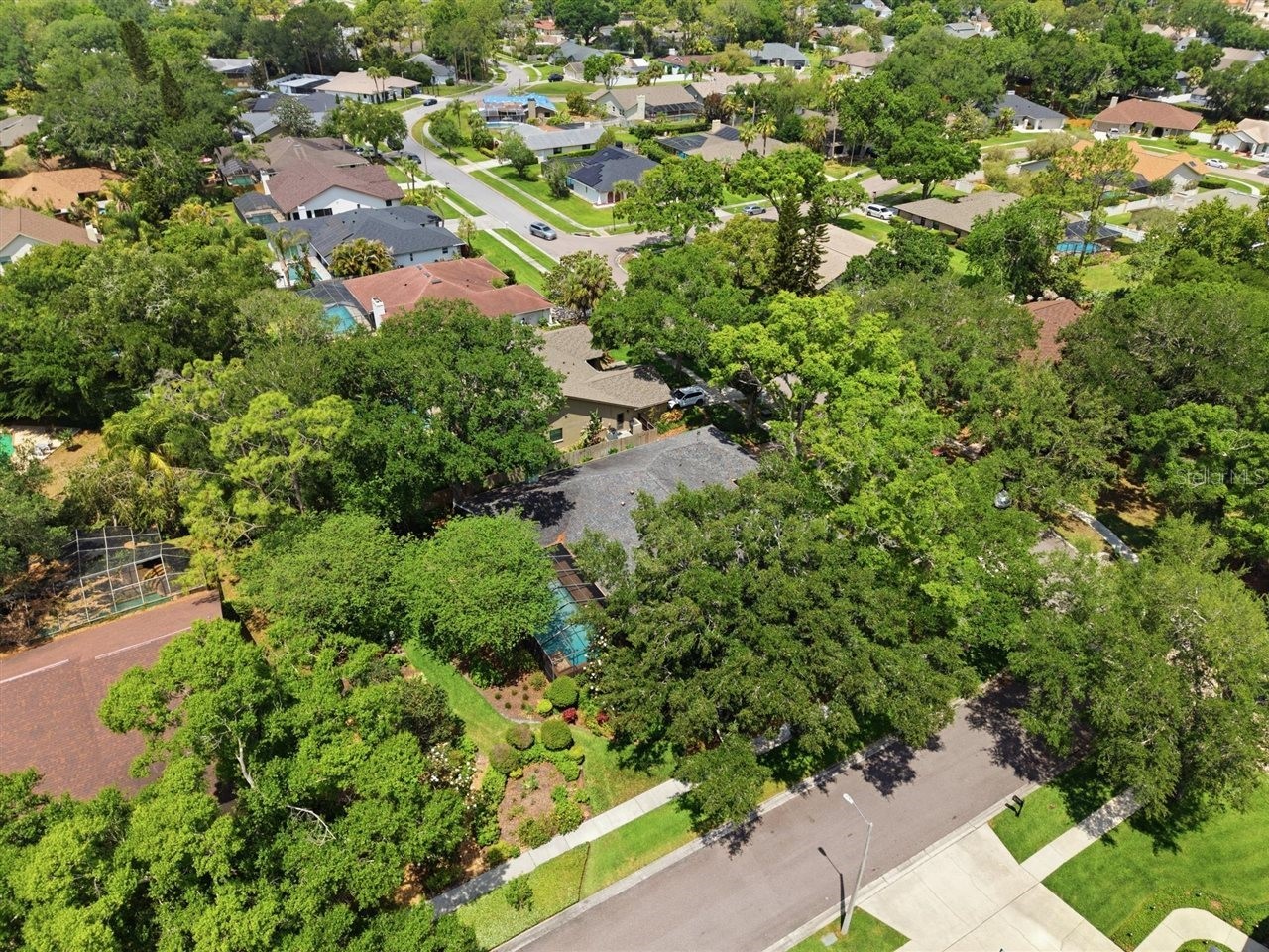 5046 Barrowe Drive Tampa FL 33624 TB8502389 image81