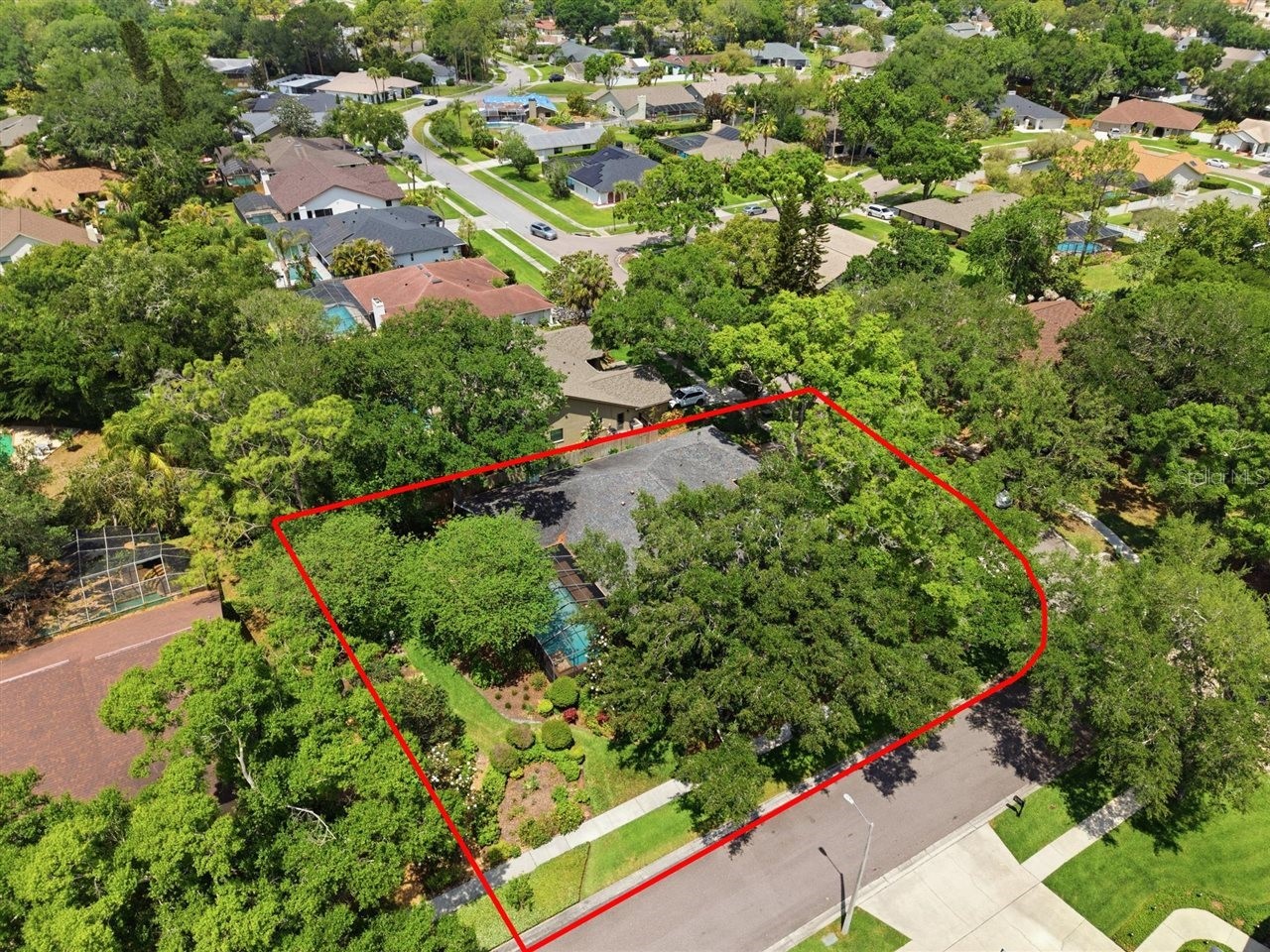 5046 Barrowe Drive Tampa FL 33624 TB8502389 image82