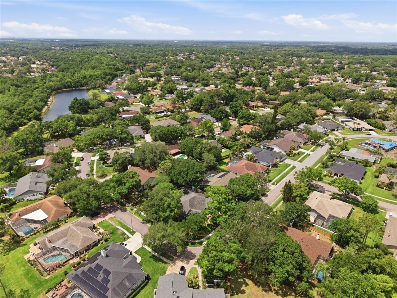 5046 Barrowe Drive Tampa FL 33624 TB8502389 image83