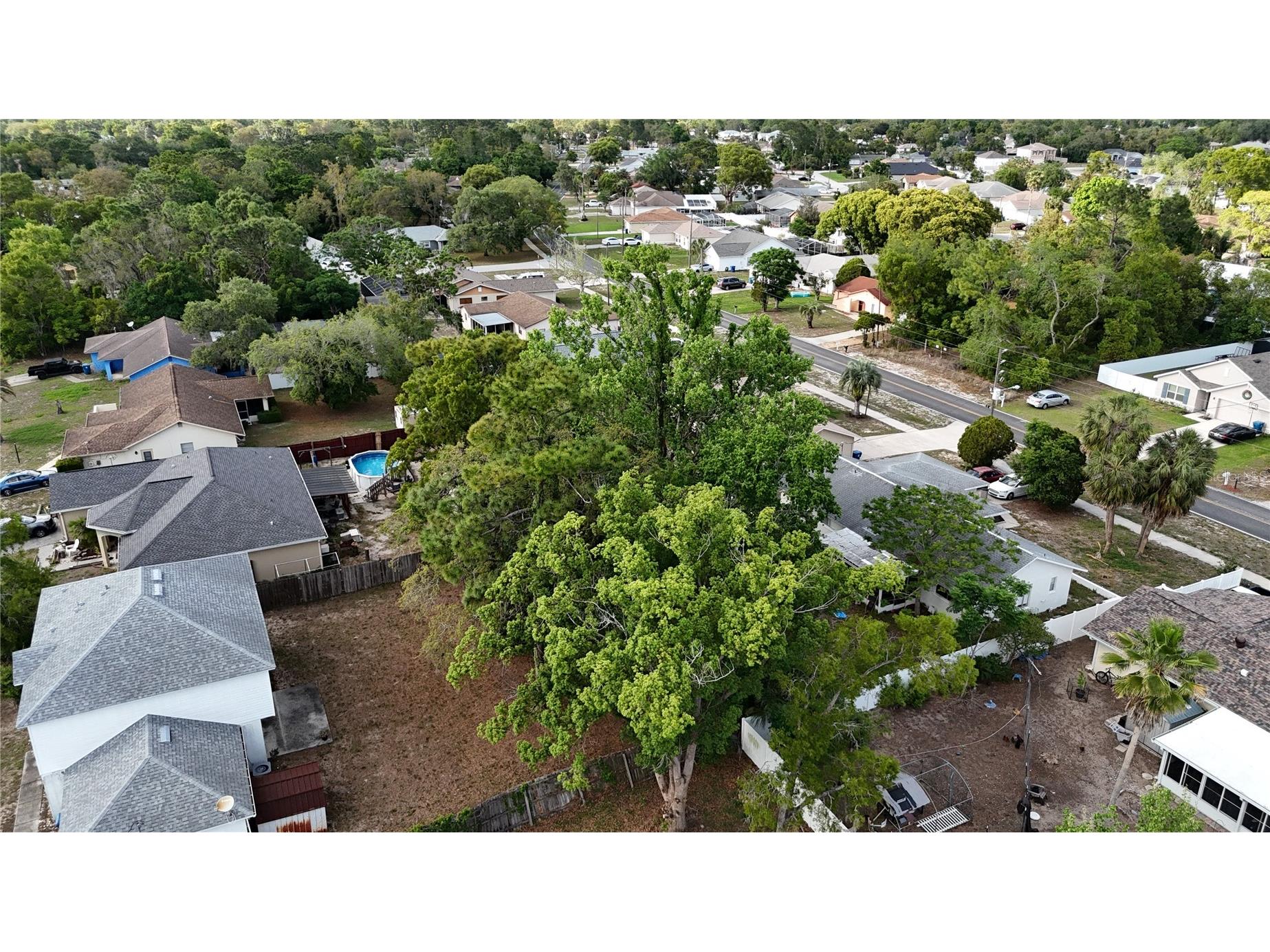 5046 Kenmore Street Spring Hill FL 34608 TB8499844 image17