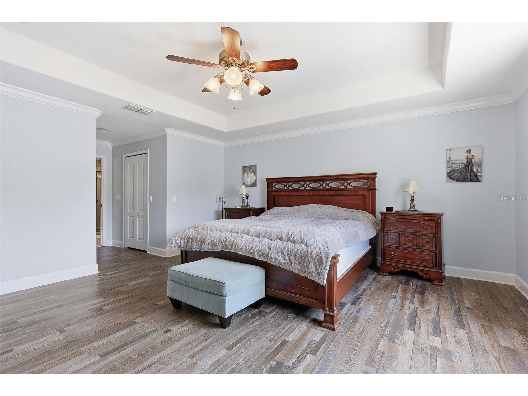 5047 Rishley Run Way Mount Dora FL 32757 OM718877 image18