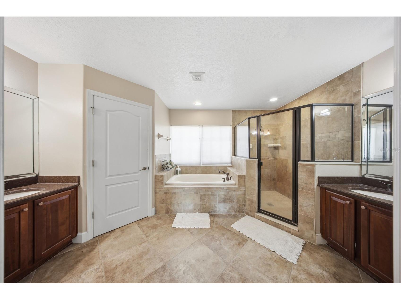5047 Rishley Run Way Mount Dora FL 32757 OM718877 image19