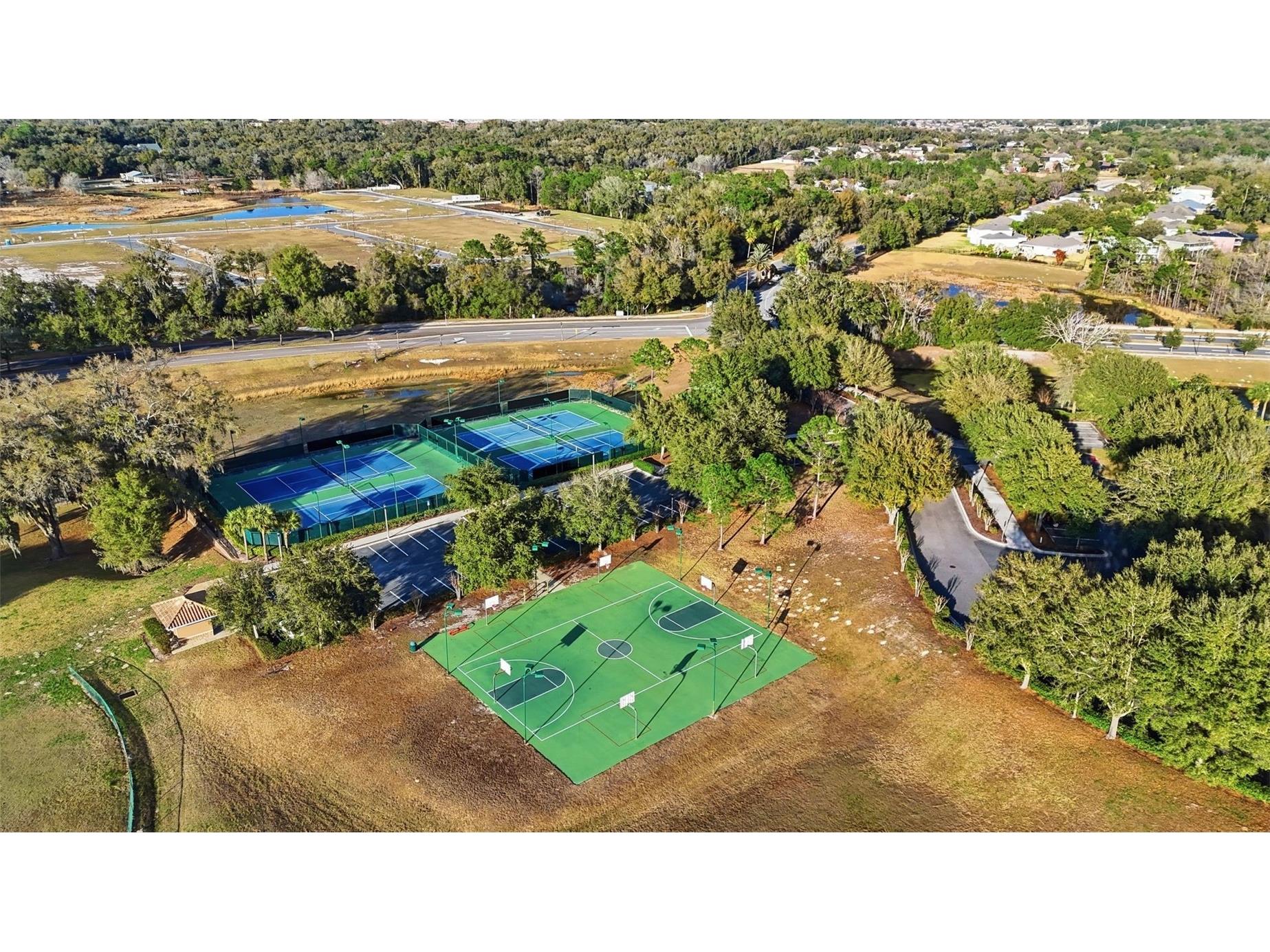 5047 Rishley Run Way Mount Dora FL 32757 OM718877 image38