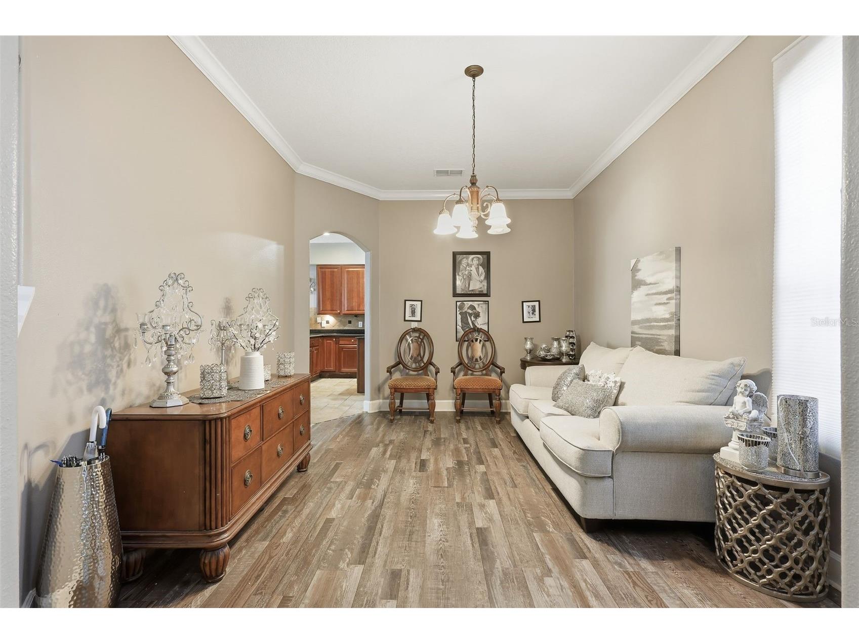 5047 Rishley Run Way Mount Dora FL 32757 OM718877 image8
