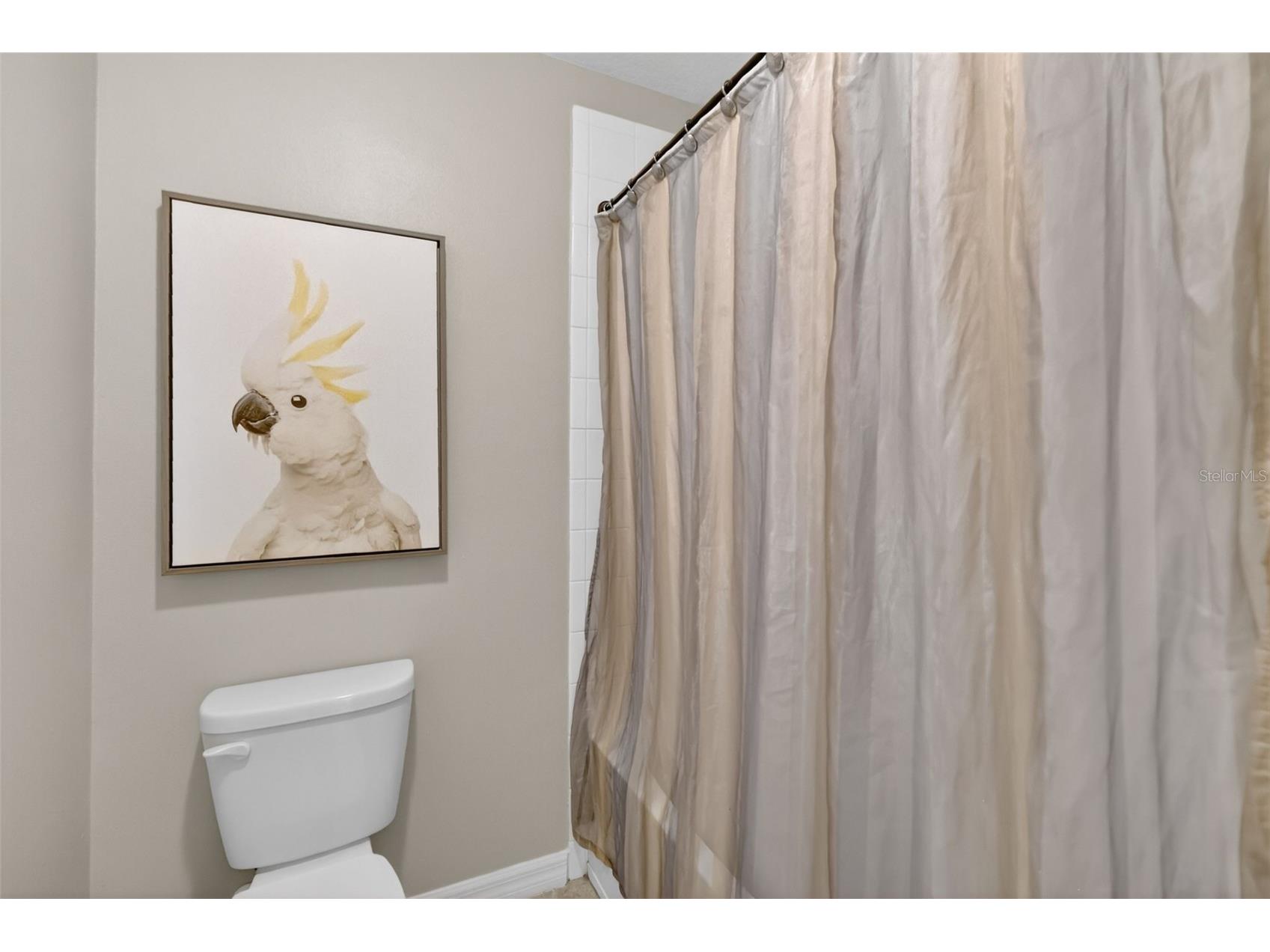 5048 Palmetto Park Drive Winter Garden FL 34787 O6412376 image46