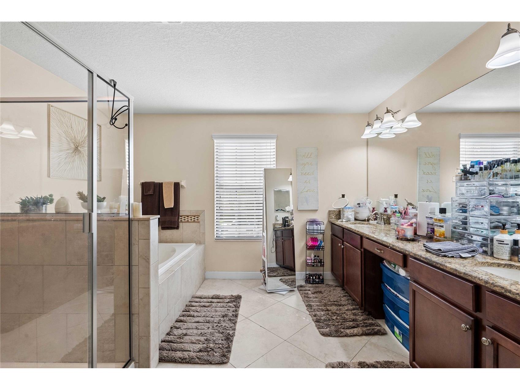 5049 Ivory Stone Drive Wimauma FL 33598 TB8532640 image27