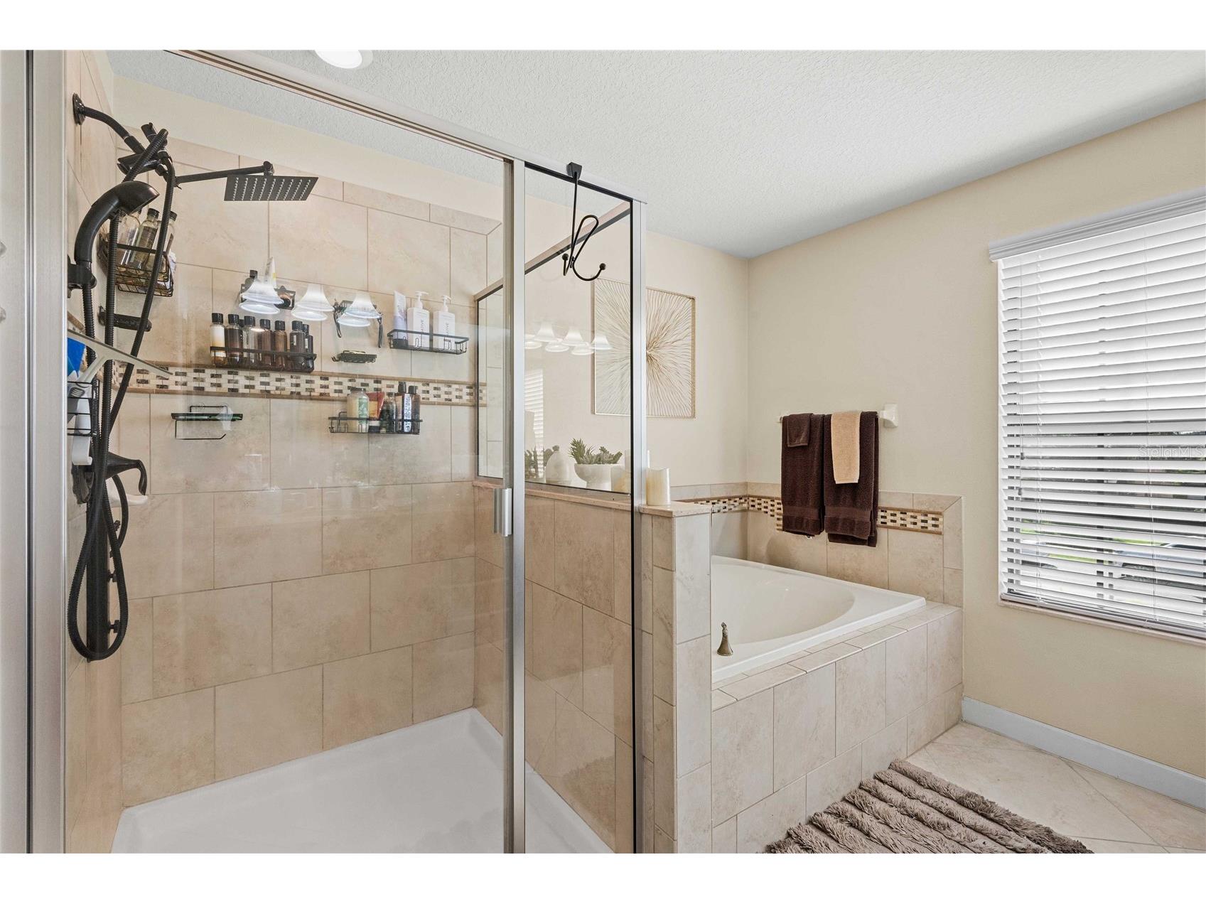 5049 Ivory Stone Drive Wimauma FL 33598 TB8532640 image28