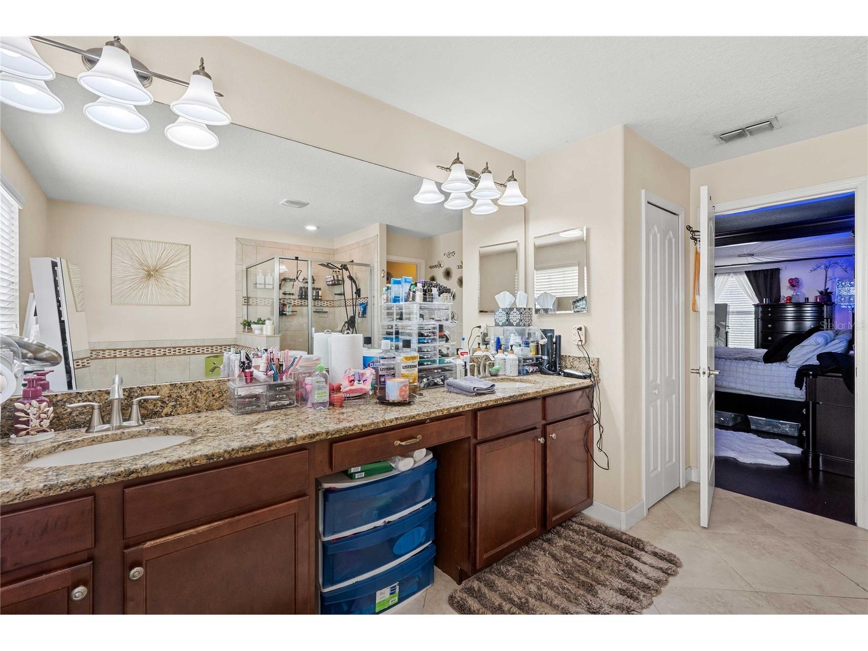 5049 Ivory Stone Drive Wimauma FL 33598 TB8532640 image29