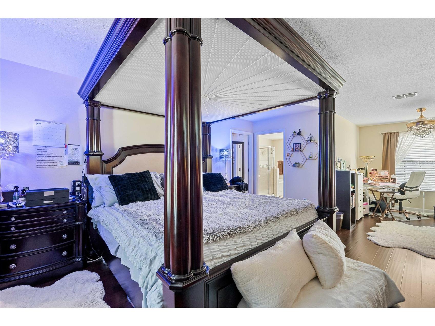 5049 Ivory Stone Drive Wimauma FL 33598 TB8532640 image31