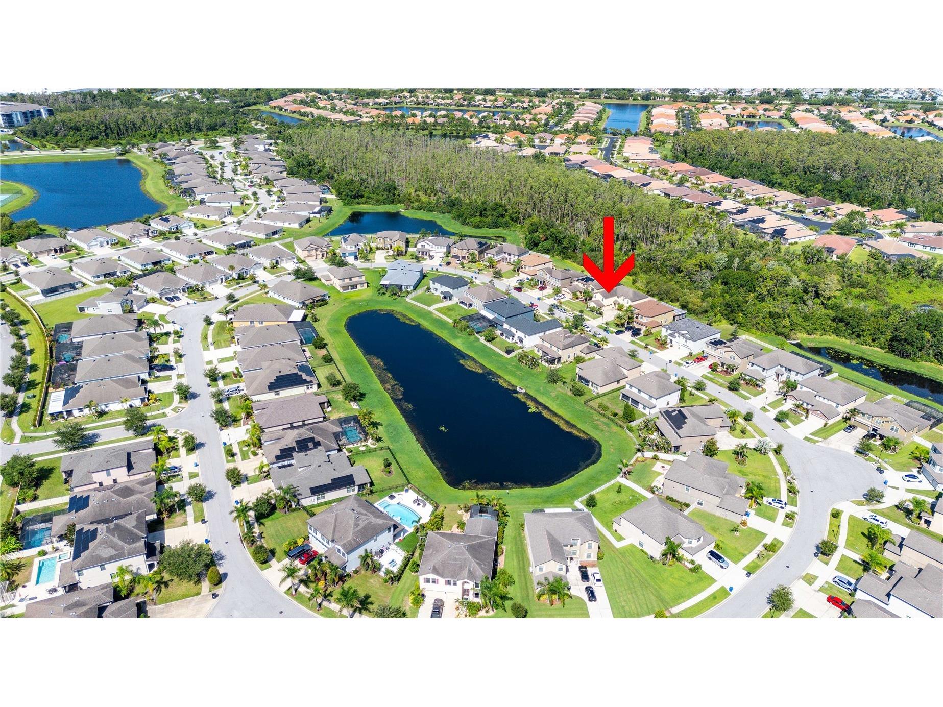 5049 Ivory Stone Drive Wimauma FL 33598 TB8532640 image64