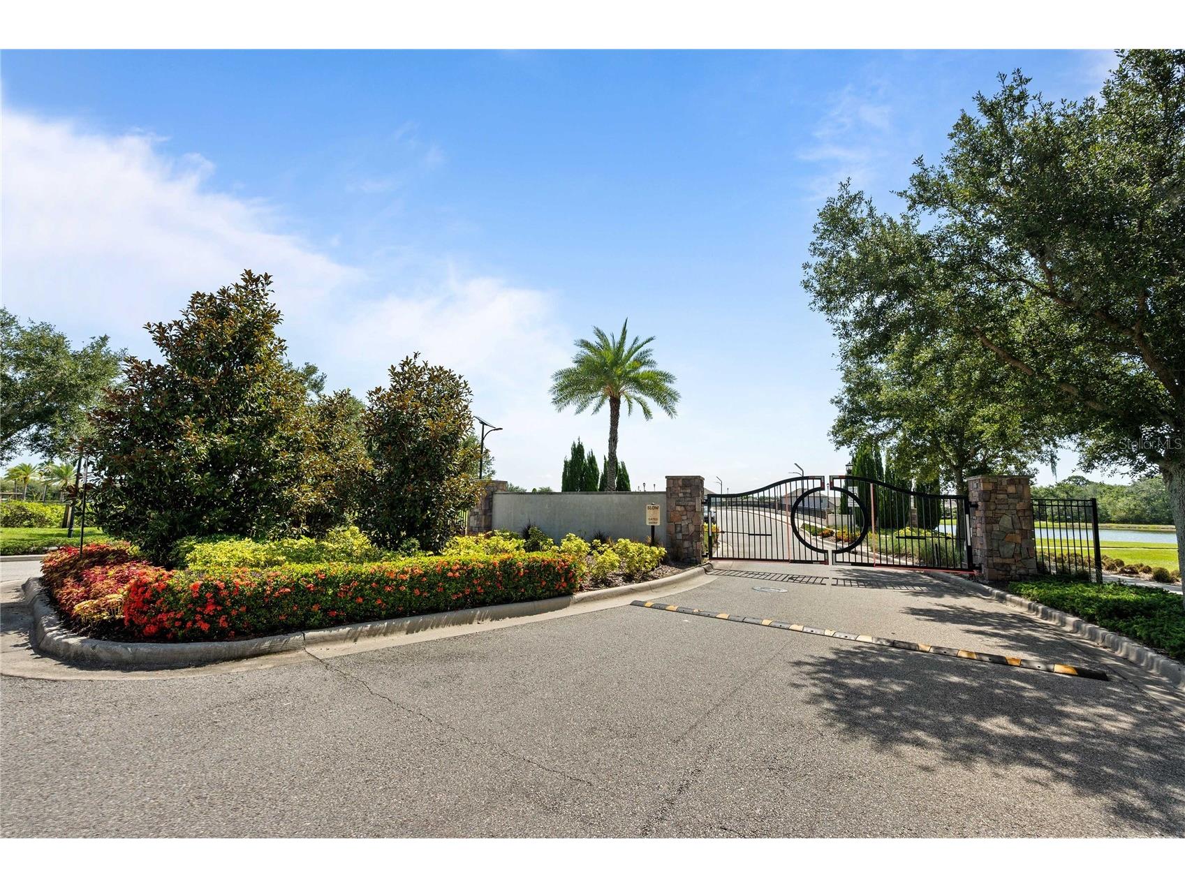 5049 Ivory Stone Drive Wimauma FL 33598 TB8532640 image67