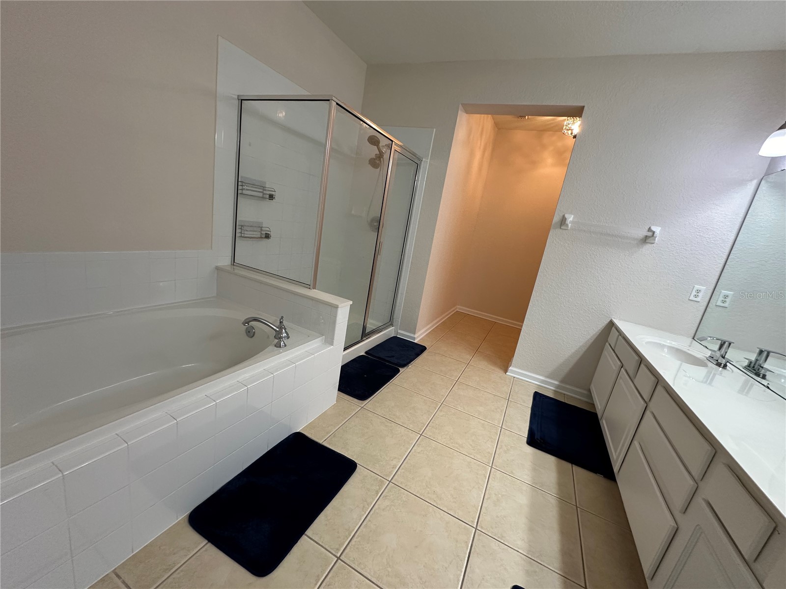 5049 Shoreway Loop #10301 Orlando FL 32819 O6373285 image18