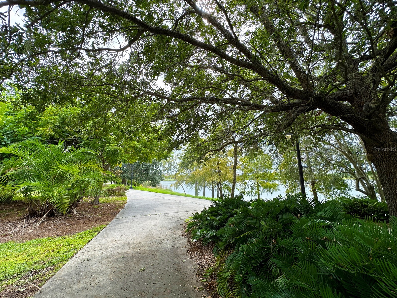5049 Shoreway Loop #10301 Orlando FL 32819 O6373285 image52
