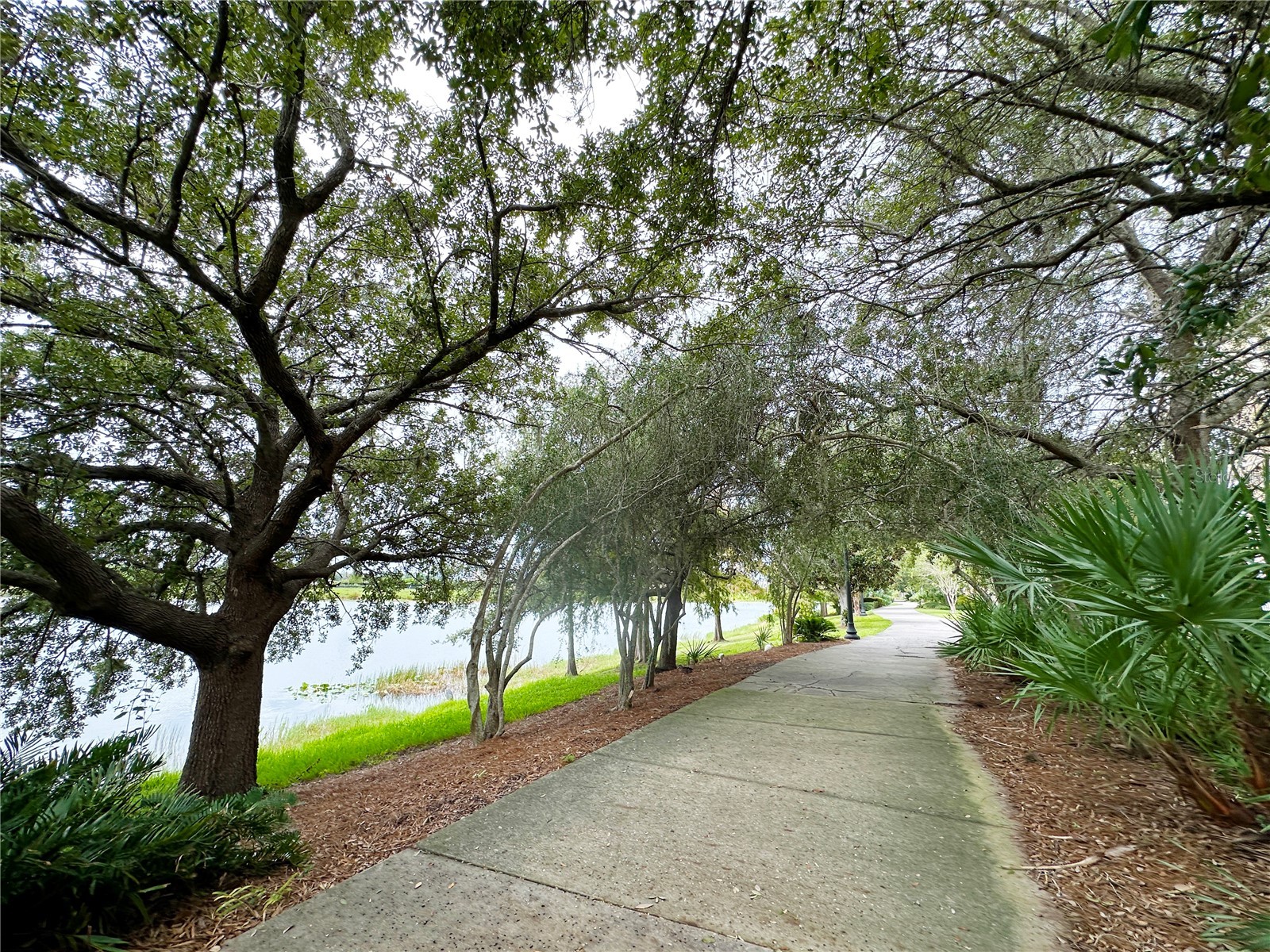 5049 Shoreway Loop #10301 Orlando FL 32819 O6373285 image56