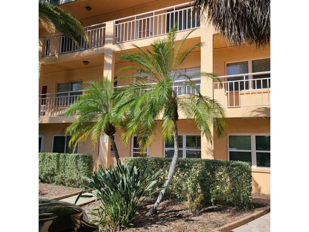 505 66th Avenue #6 Saint Pete Beach FL 33706 J970829 image1