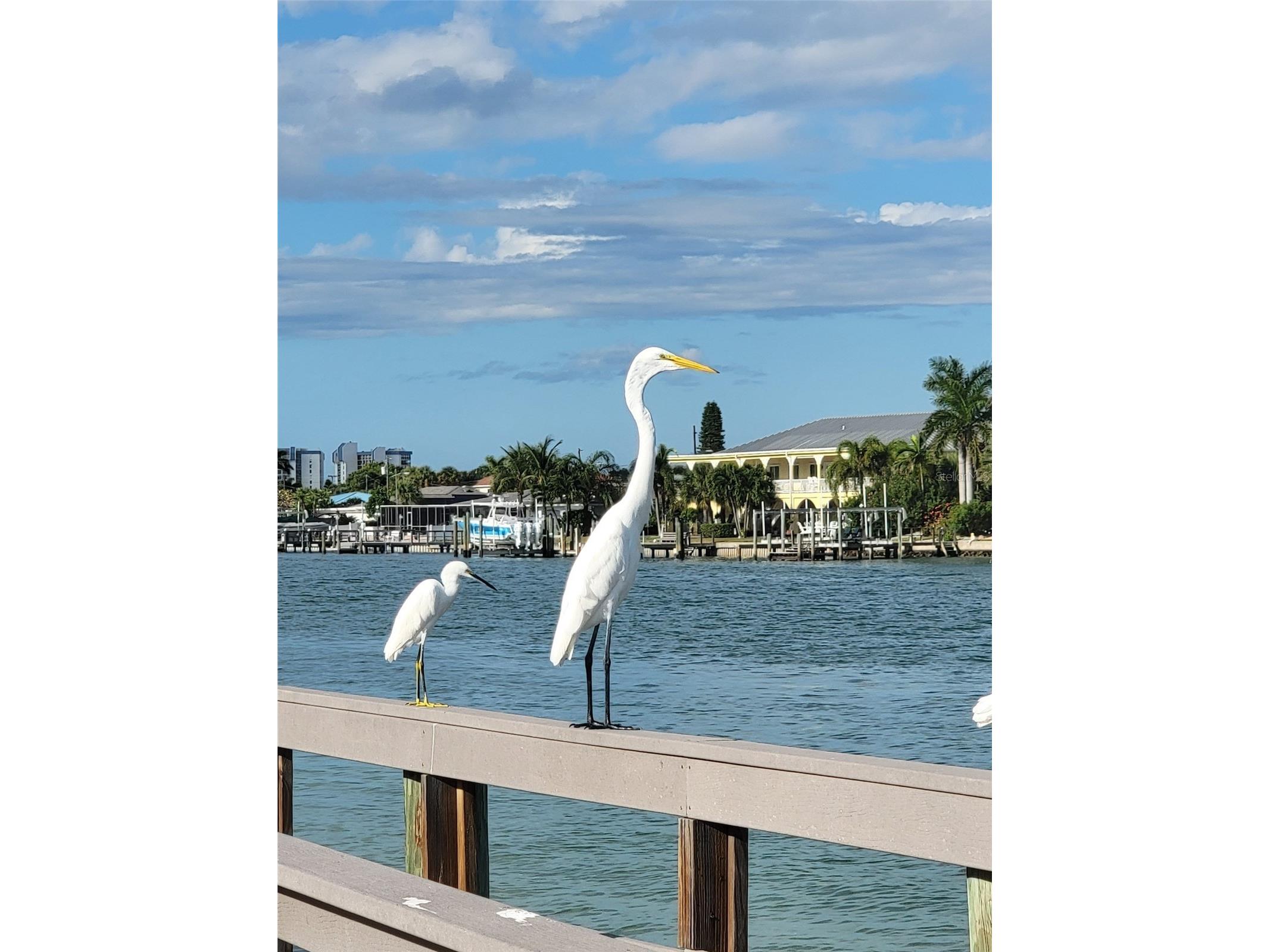 505 67th Avenue #5 Saint Pete Beach FL 33706 TB8504573 image35