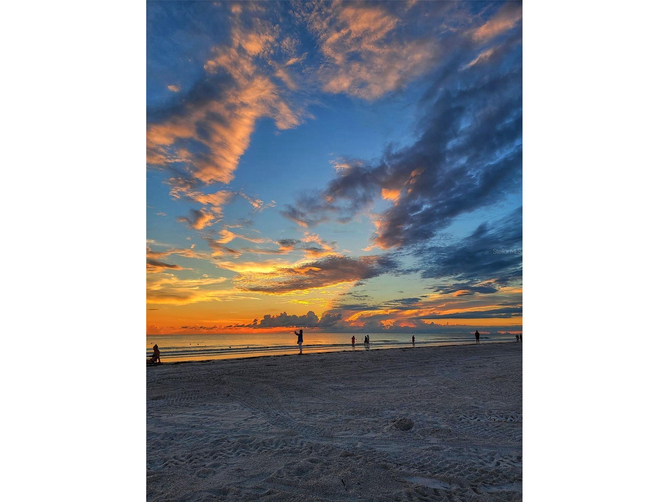 505 67th Avenue #5 Saint Pete Beach FL 33706 TB8504573 image39