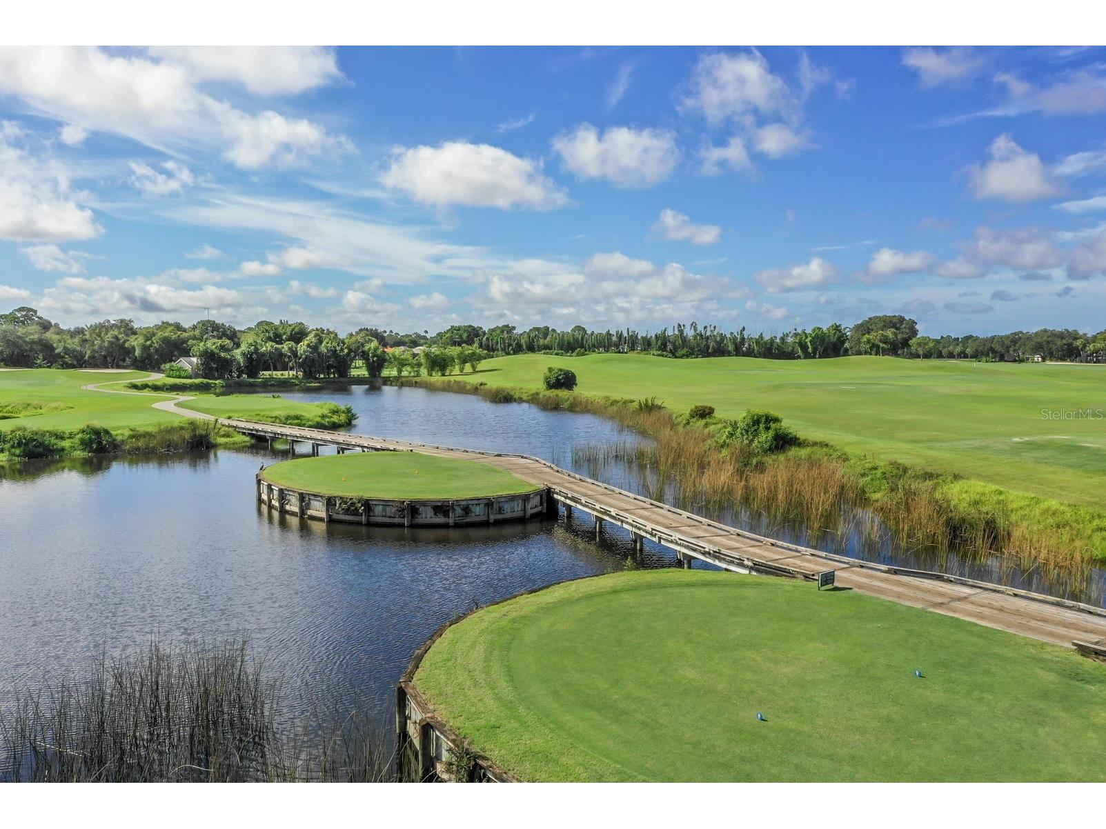 505 Cheval Drive Venice FL 34292 N6142272 image43