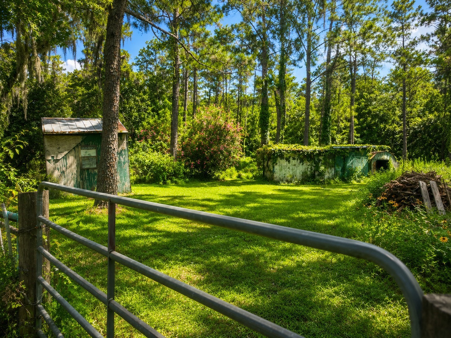 505 Deen Still Road Davenport FL 33897 O6416791 image14