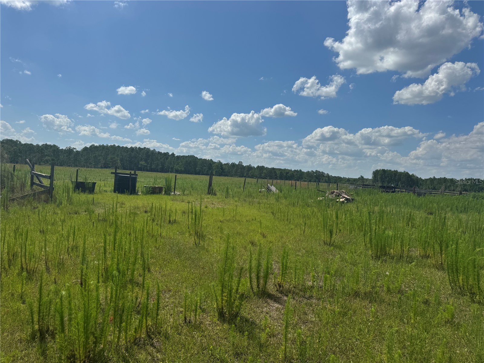 505 Deen Still Road Davenport FL 33897 O6416791 image15