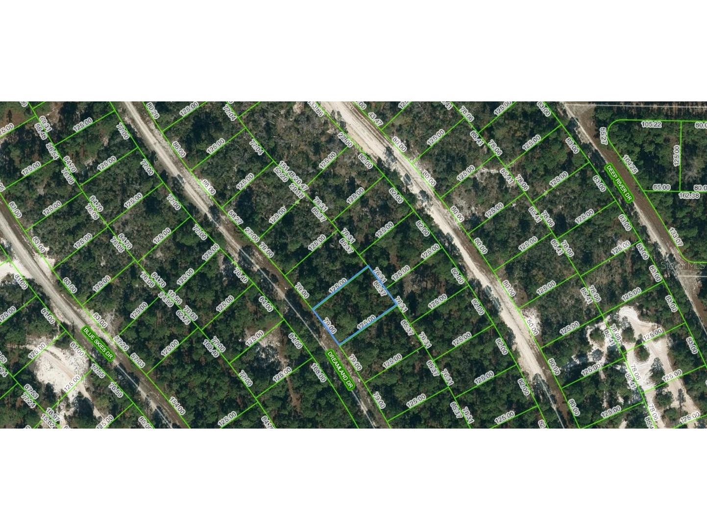 505 Dreamland Drive Lake Placid FL 33852 C7474931 image1