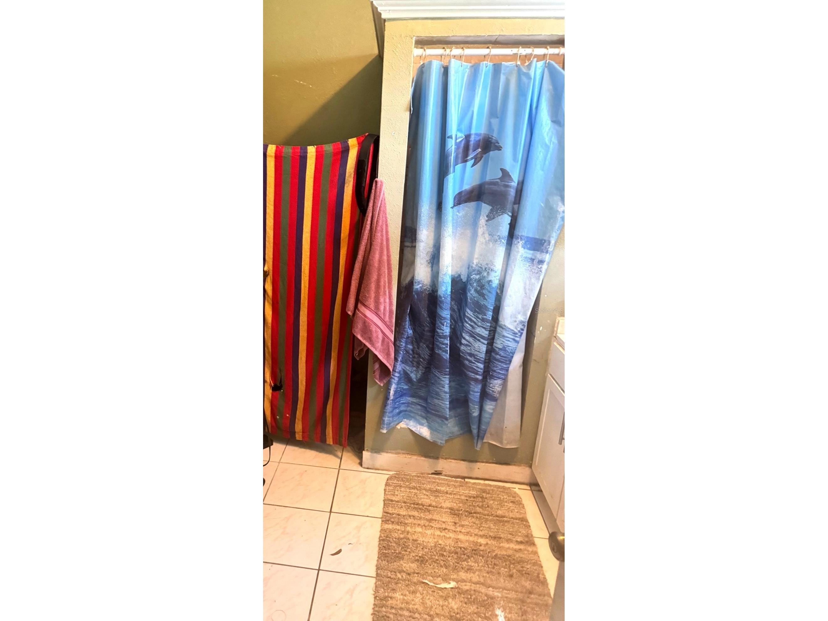 505 E Columbus Drive Tampa FL 33602 TB8486085 image25