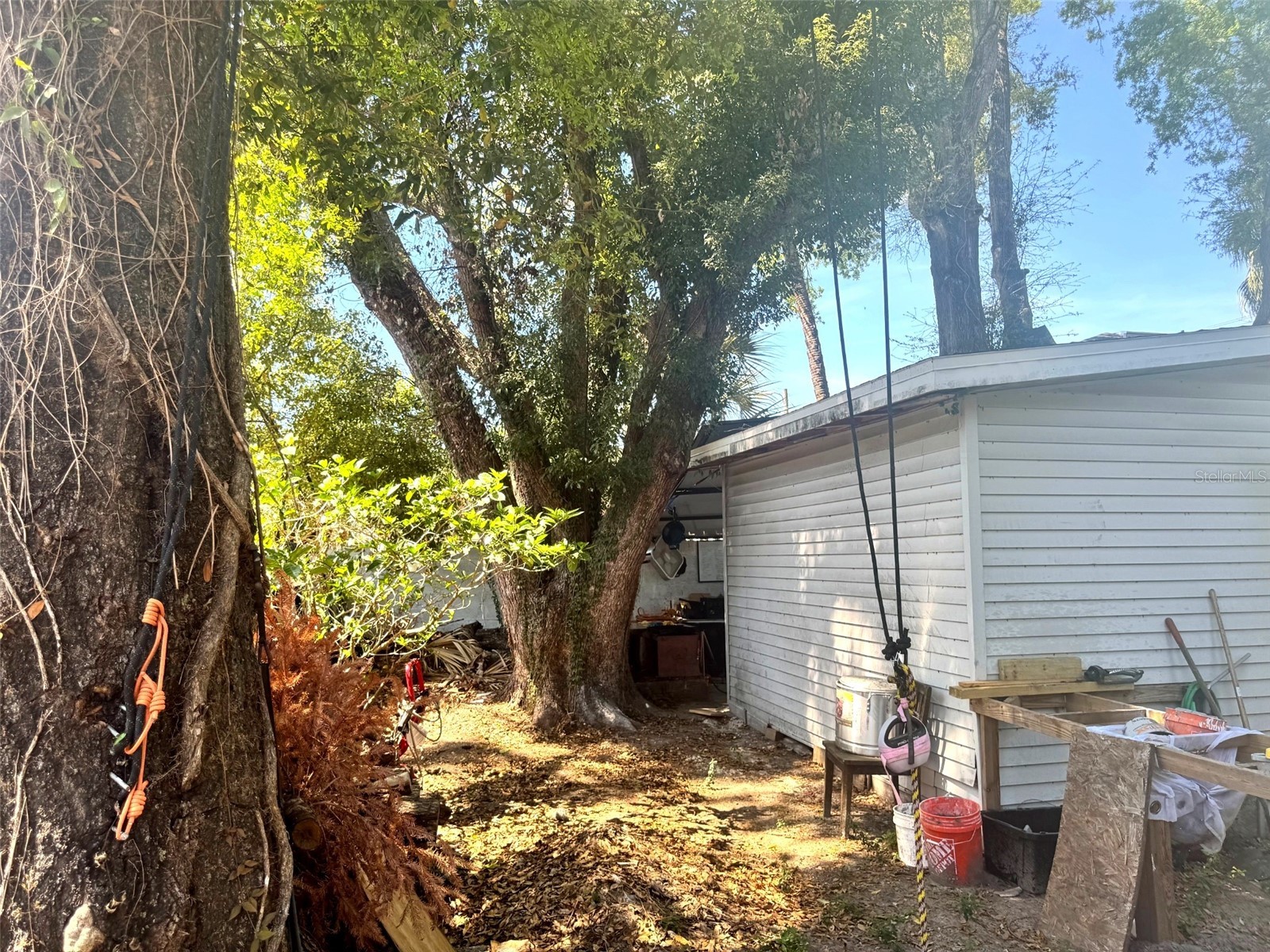 505 E Columbus Drive Tampa FL 33602 TB8486085 image29