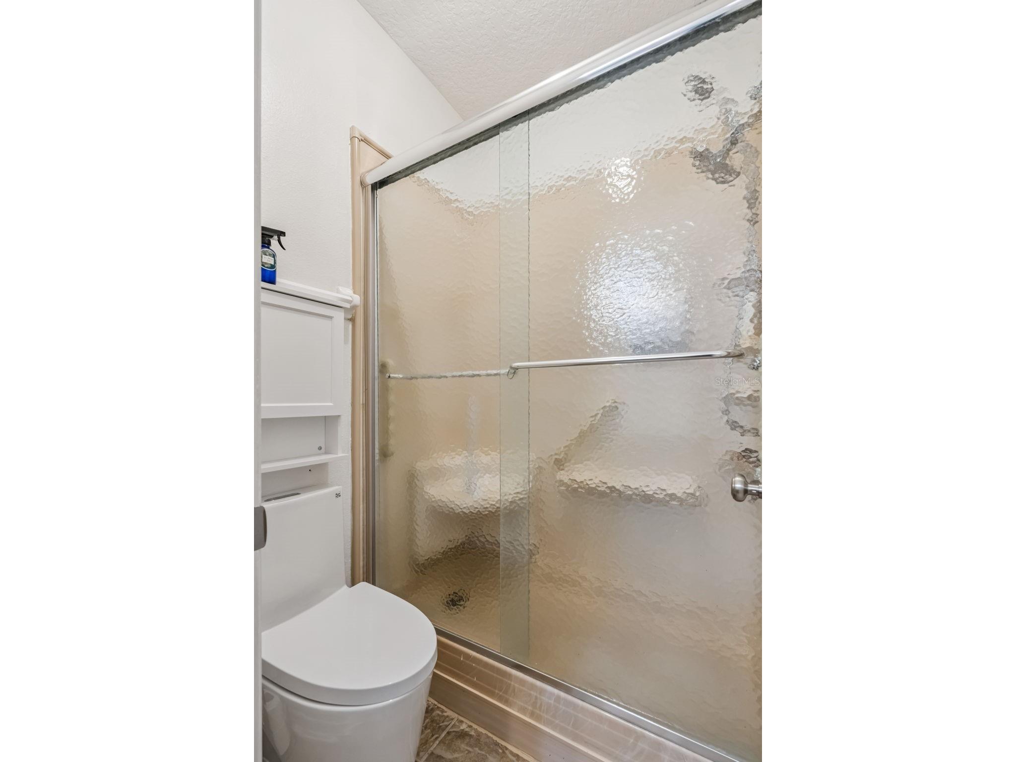505 E Gulley Avenue Oakland FL 34787 O6400317 image31