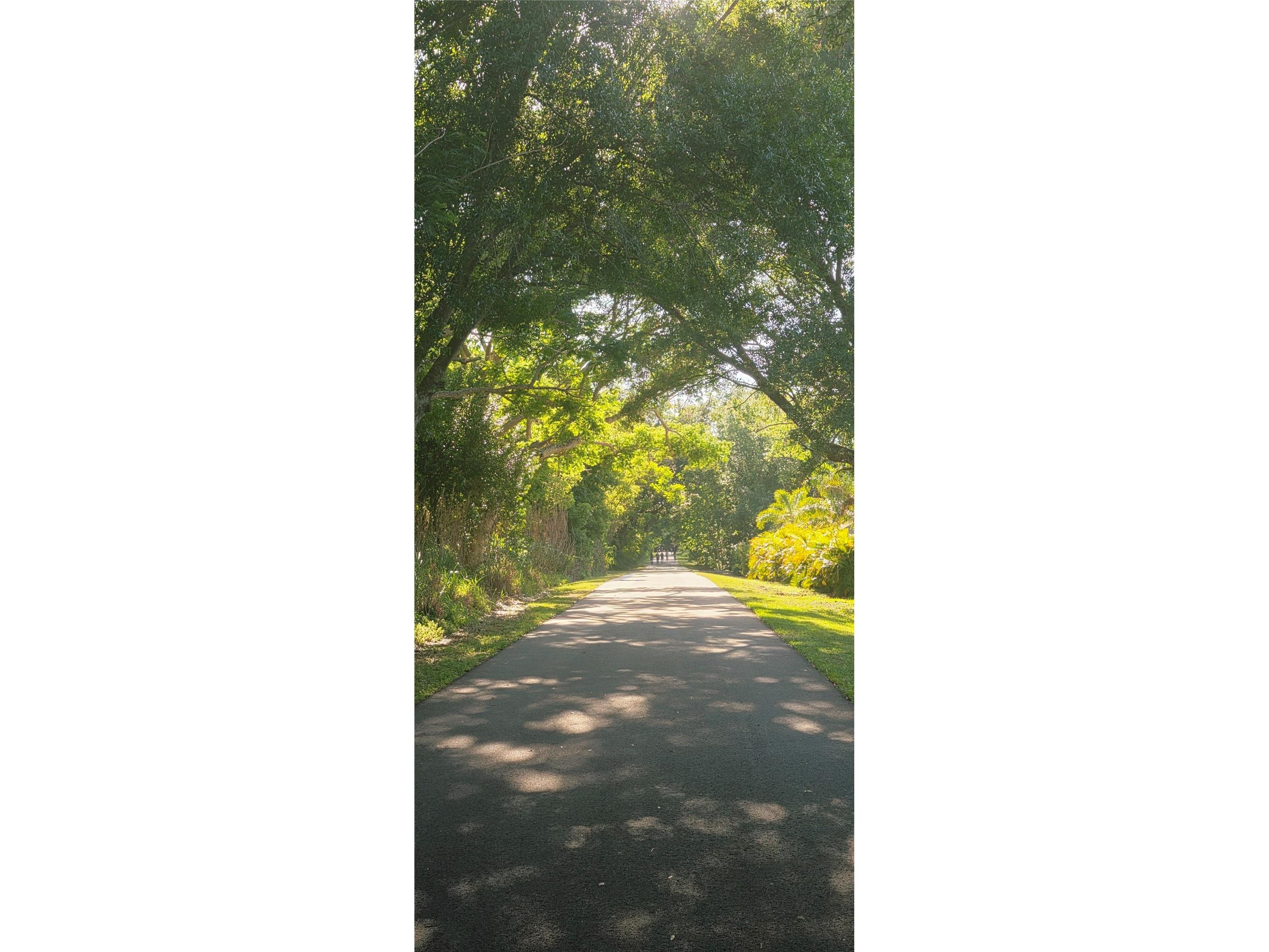 505 E Gulley Avenue Oakland FL 34787 O6400317 image44