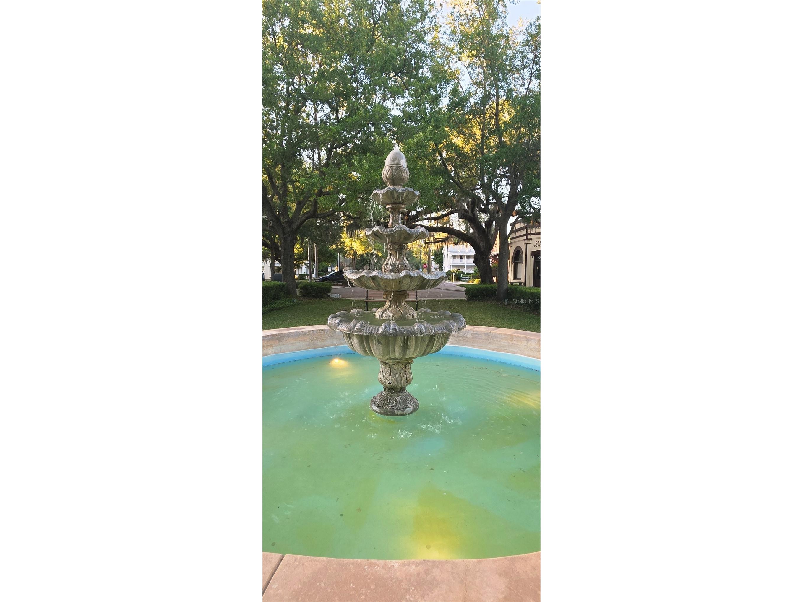 505 E Gulley Avenue Oakland FL 34787 O6400317 image50