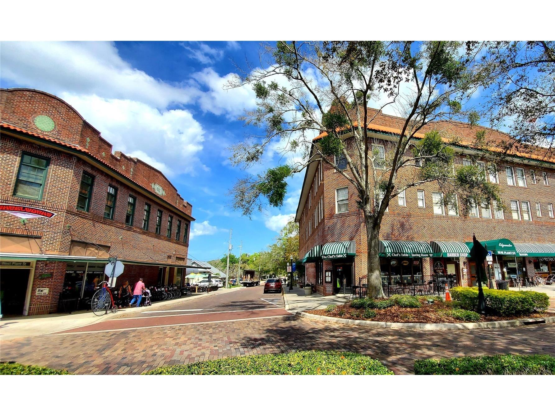 505 E Gulley Avenue Oakland FL 34787 O6400317 image62