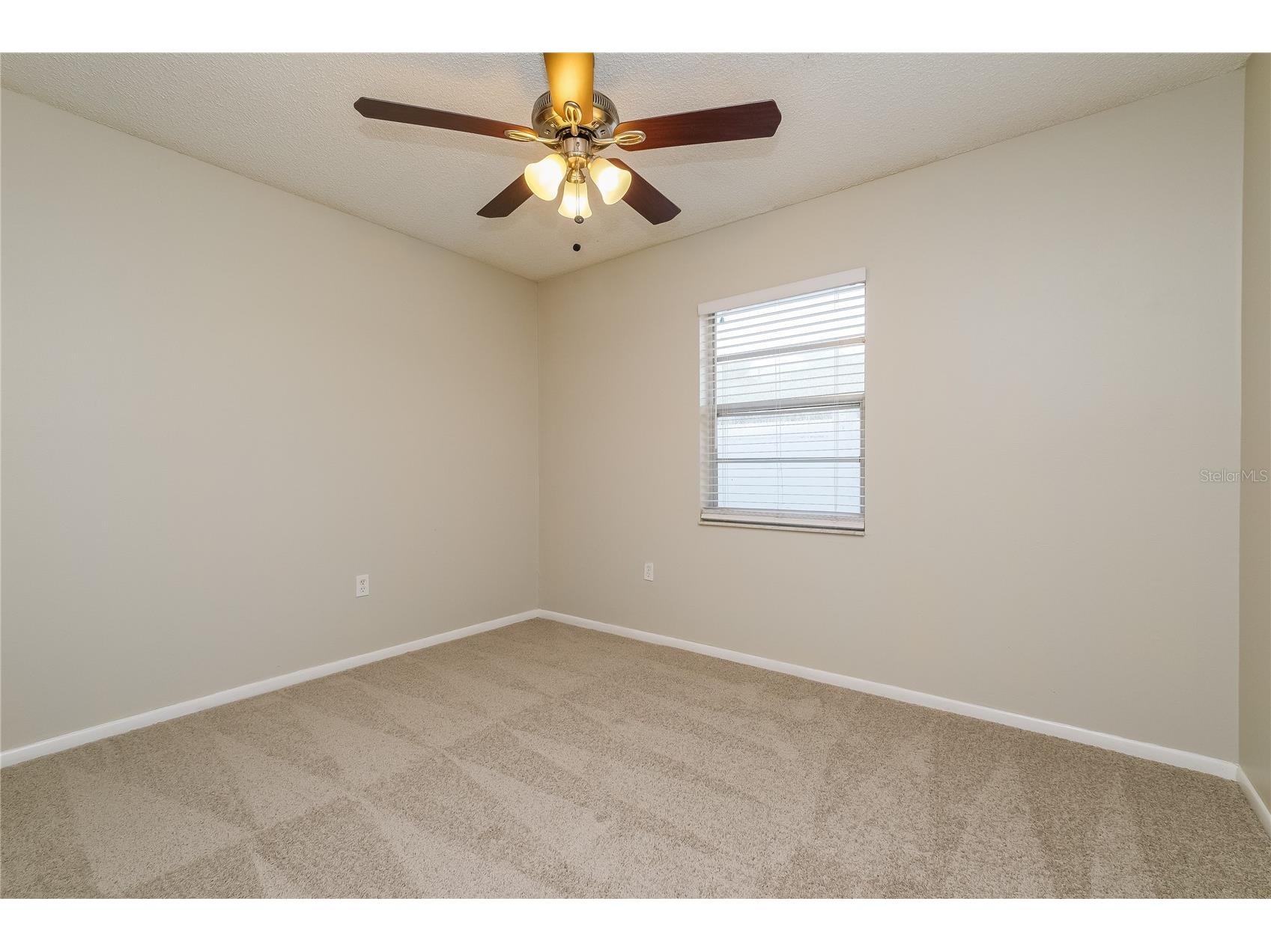505 E Morgan Street Tarpon Springs FL 34689 TB8490219 image12