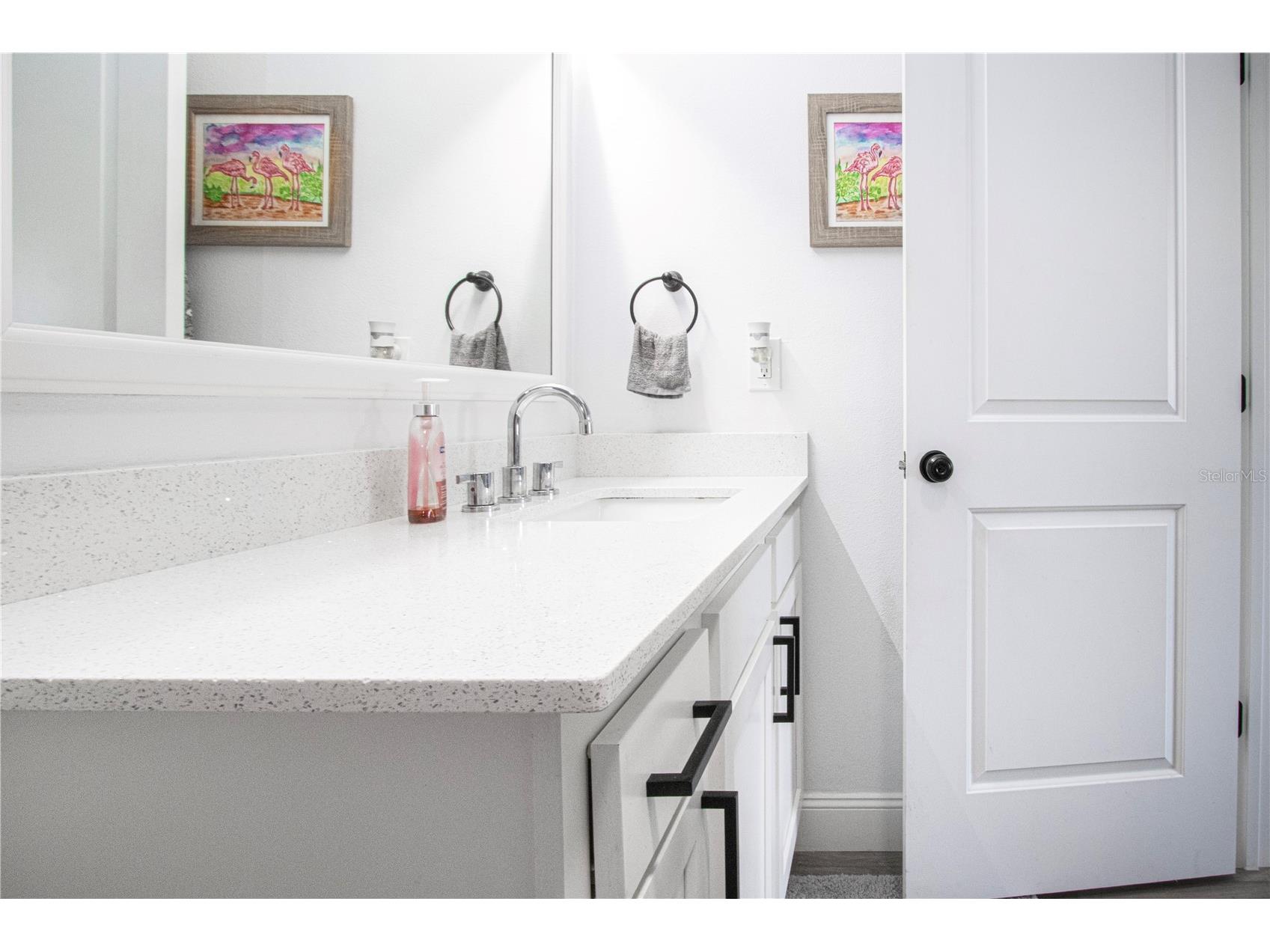 505 Finsbury Circle #A Sun City Center FL 33573 TB8494395 image29