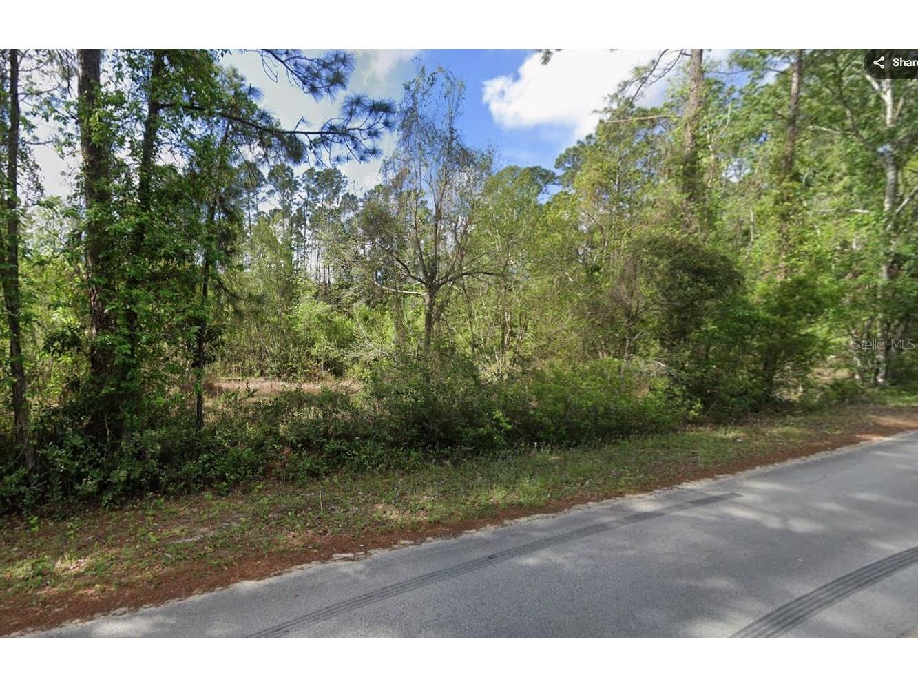 505 Hickory Nut Trail Satsuma FL 32189 OM719139 image1