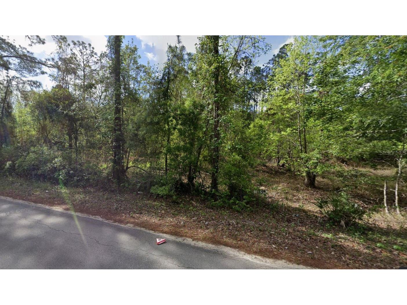 505 Hickory Nut Trail Satsuma FL 32189 OM719139 image2