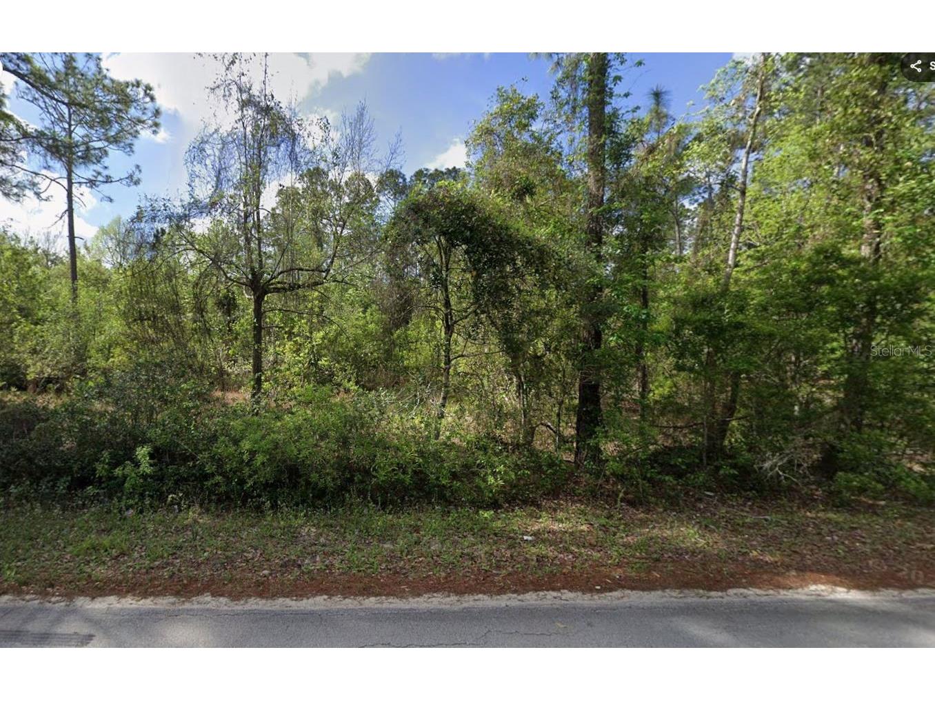 505 Hickory Nut Trail Satsuma FL 32189 OM719139 image3