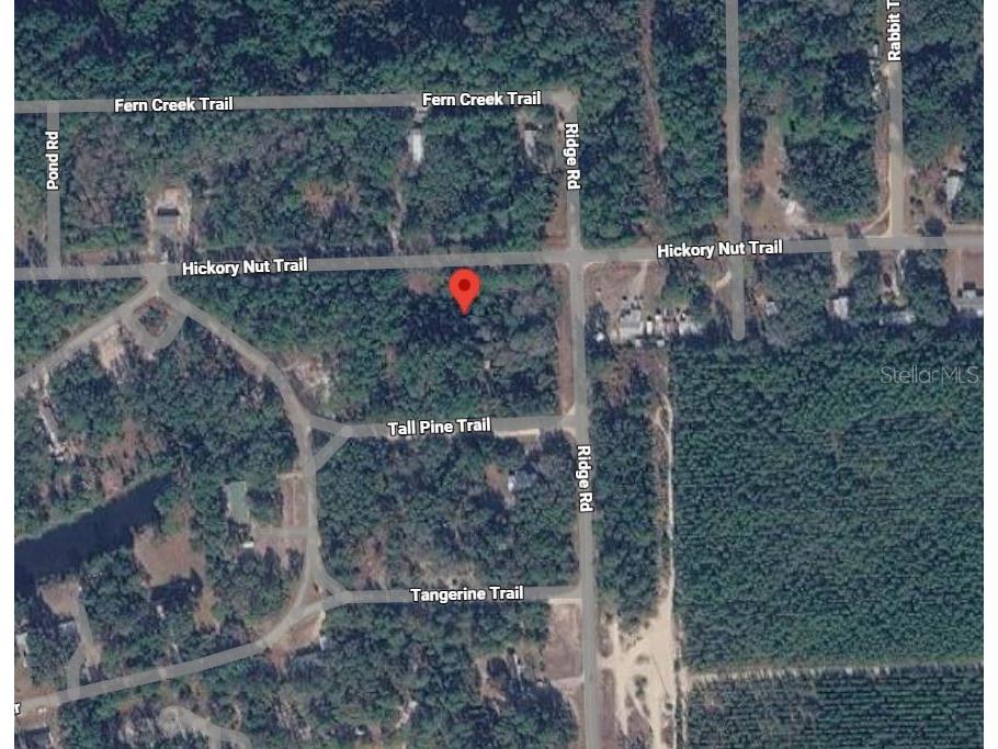 505 Hickory Nut Trail Satsuma FL 32189 OM719139 image4